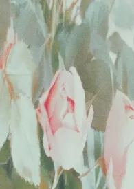 谁去拯救谁?【百合 np】